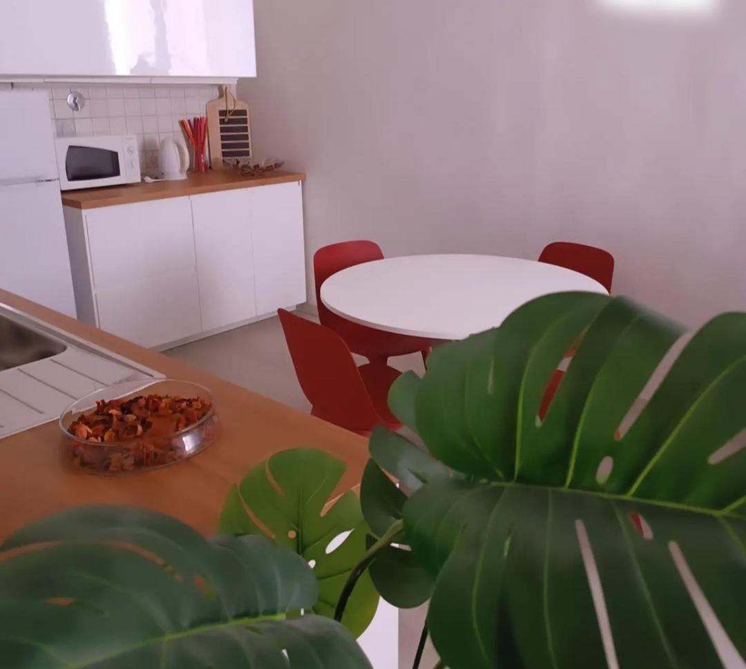 Handy House فلورنس المظهر الخارجي الصورة